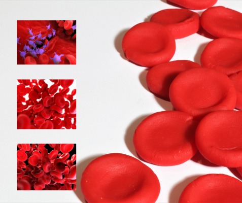 Pediatric Hematology